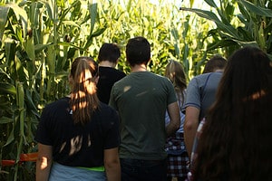 Discover the Largest Corn Maze in the Entire World Picture