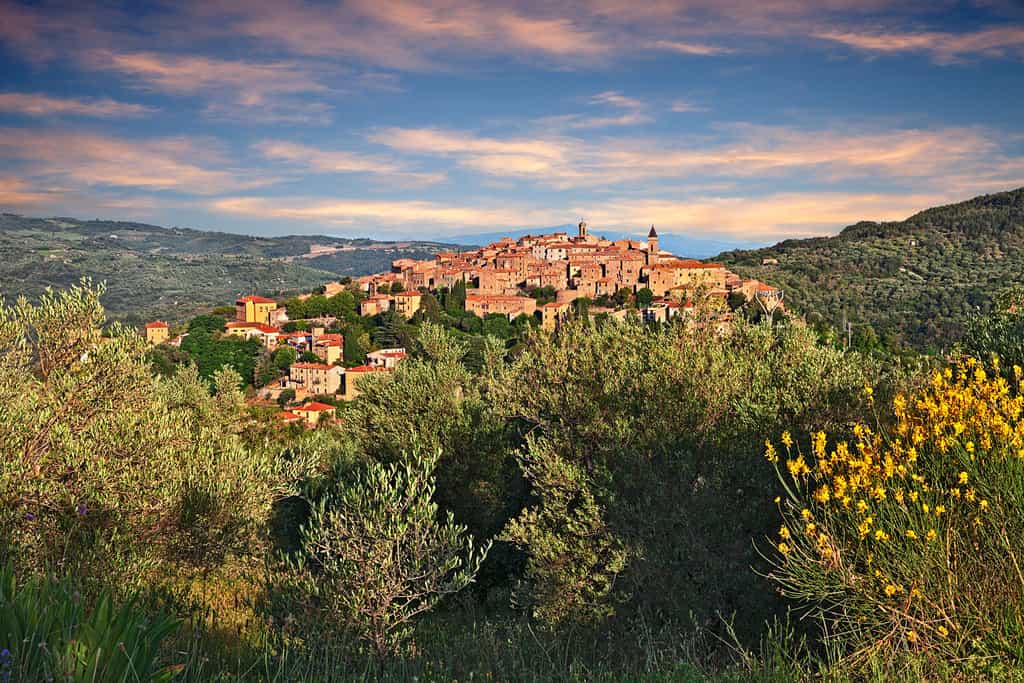 Seggiano, Grosseto, Tuscany, Italy: landscape of the countryside with tge ancient hill town on the slopes of Mount Amiata