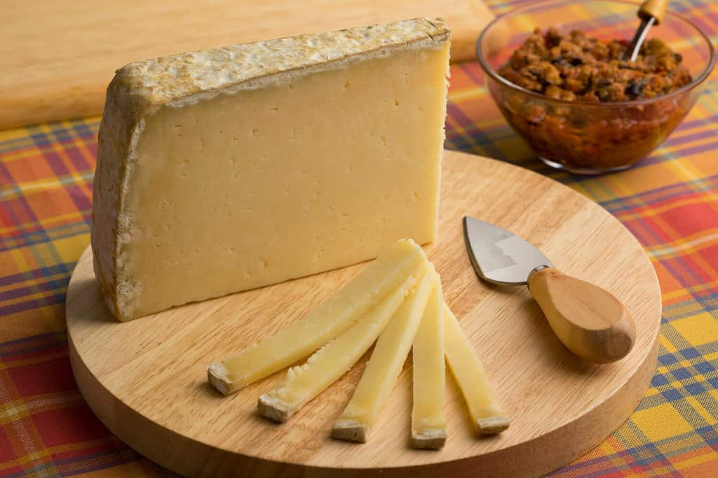 French Cantal aop cheese on a cutting board as dessert