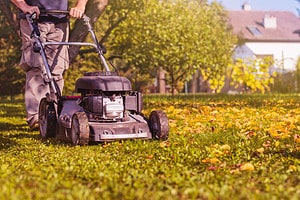 15 Critical Yard Care Tips You Need to Do in October Picture