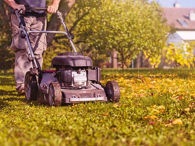 A 15 Critical Yard Care Tips You Need to Do in October