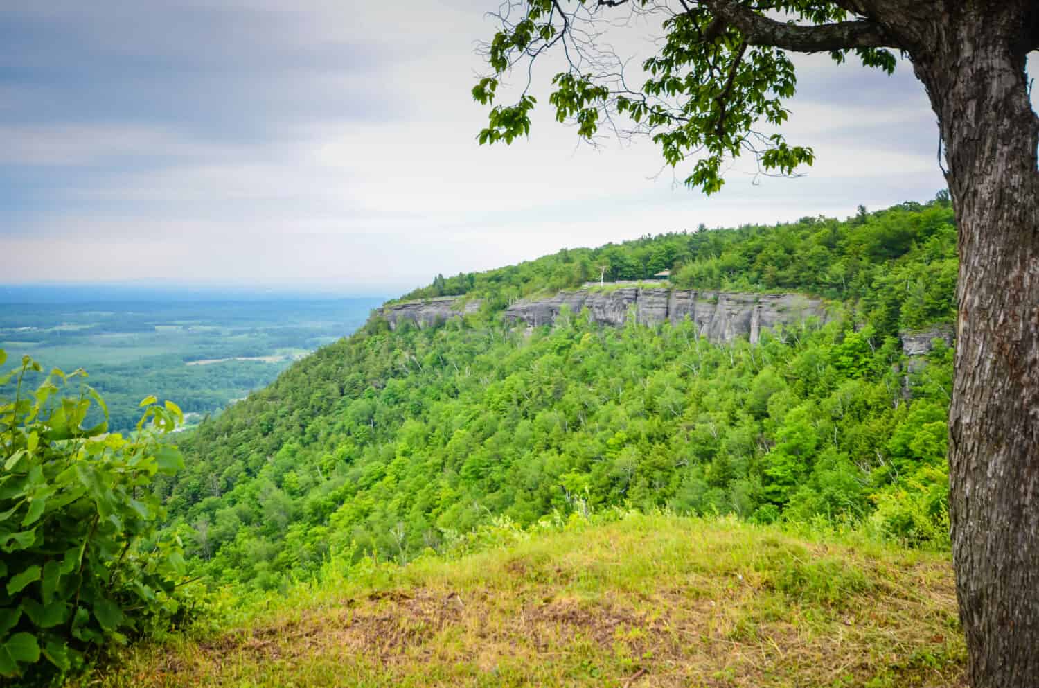 Scenic overview of Hedelberg cliffs seen at John Boyd Thacher State Park in Voorheesville, New York.