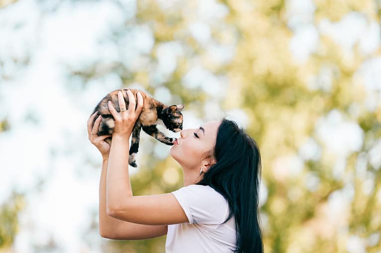 beautiful young girl sits sideways and kisses kitten in her hands. Little cat does not give his mistress kiss him