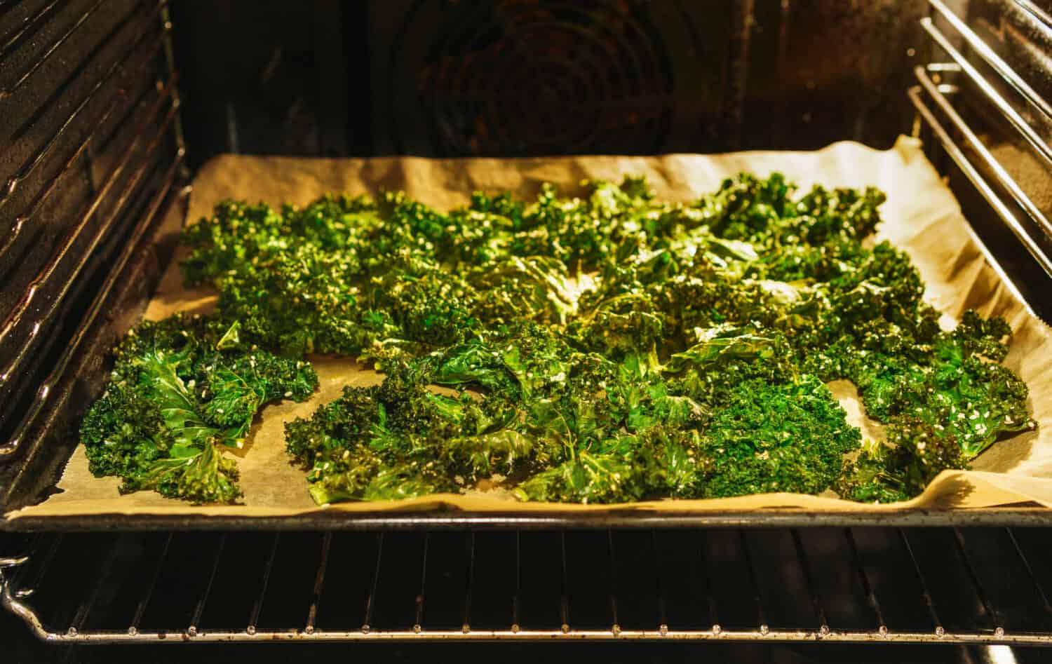 Freshly made crispy kale chips on a baking tray and baking paper in a lit up oven with open oven door - angled view, horizontal landscape format