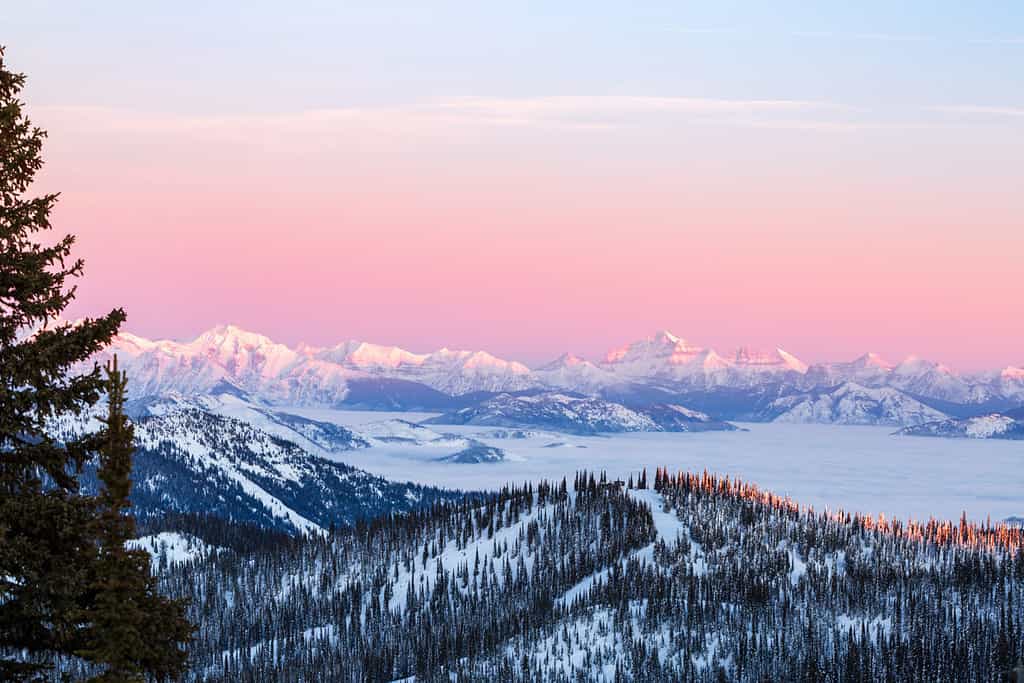 Glacier National Park Pink Mountain Sunset
