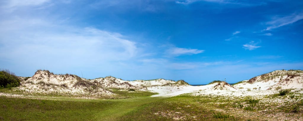 Sand dunes at Cumberland Island National Seashore.