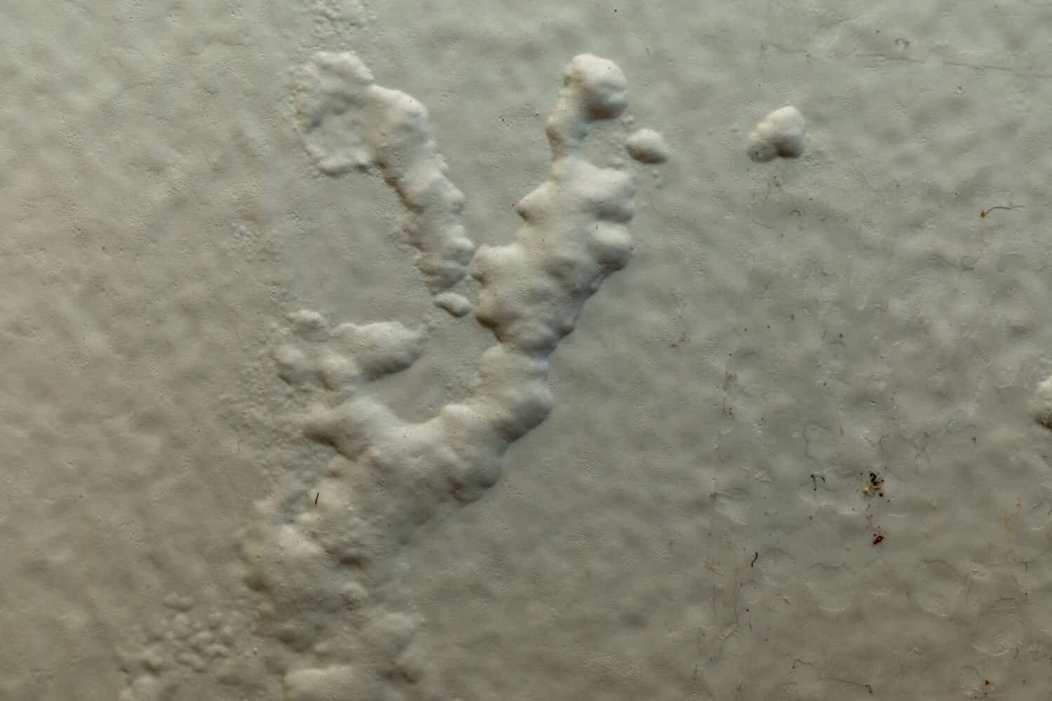 Close up air bubbles in paint on a concrete wall cause by moisture, damp surface.