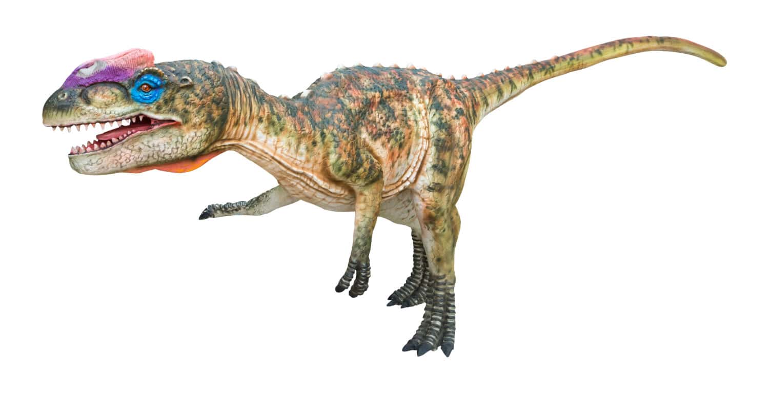 Zupaysaurus is a carnivore genus of early theropod dinosaur living during the Norian stage of the Late Triassic, Zupaysaurus isolated on white background with clipping path