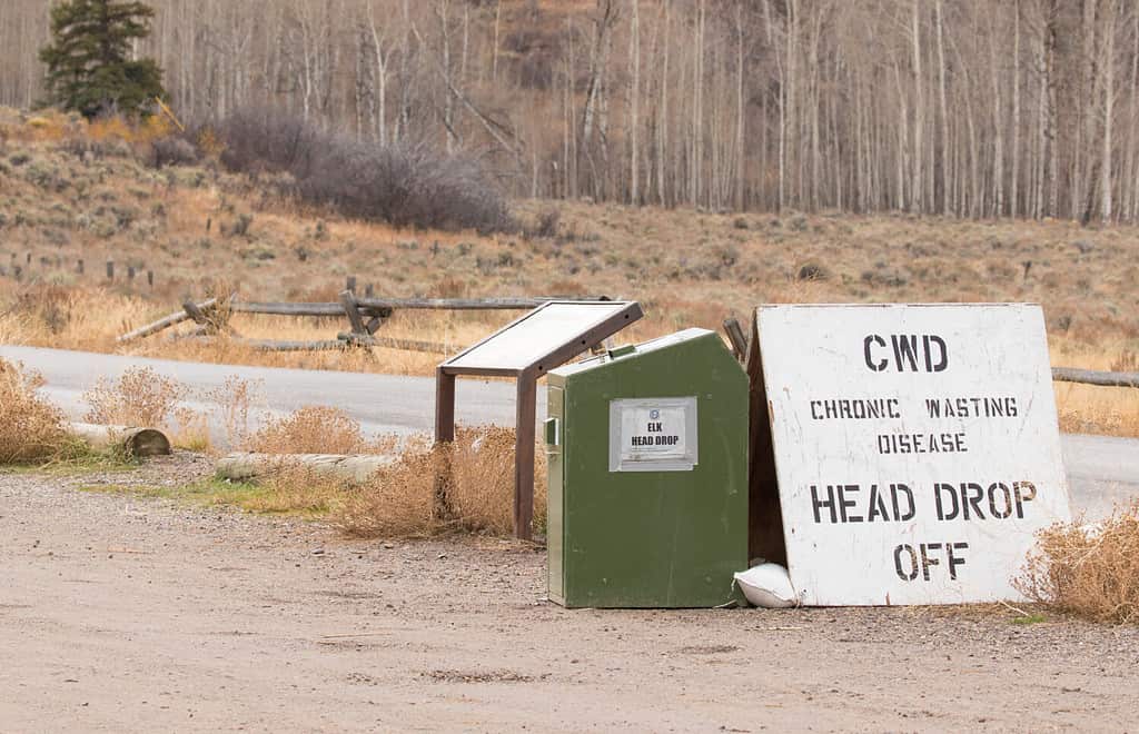 CWD, chronic wasting disease, for elk deposit bin