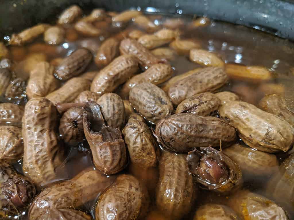 Southern Style Boiled Peanuts in a Crock Pot