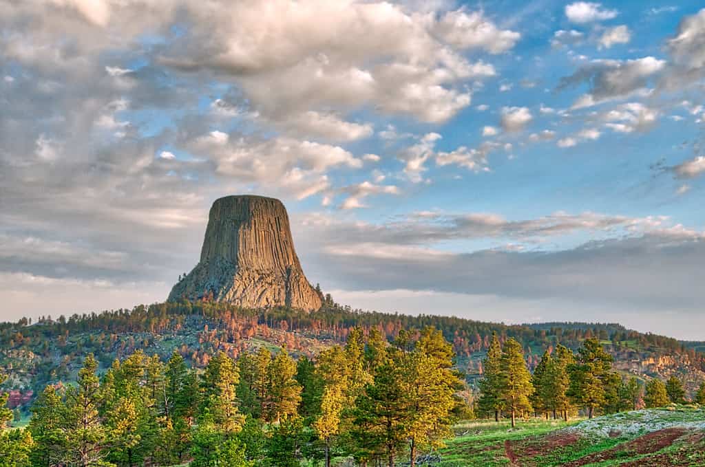 Devil's Tower National Monument in Wyoming Under the Early Morning Cloudy Sky with the forest in the foreground