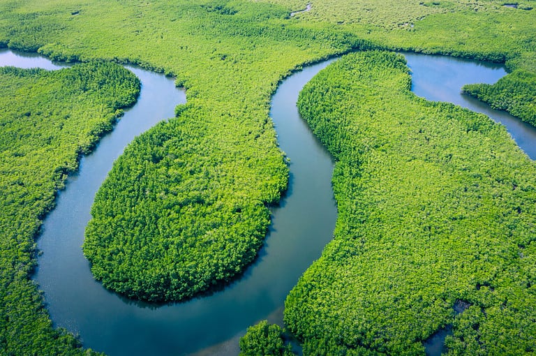 Aerial view of Amazon rainforest in Brazil, South America. Green forest. Bird's-eye view.