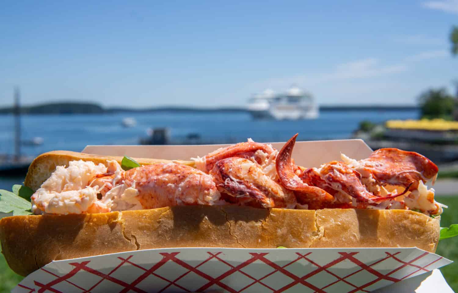 Having fresh Maine lobster roll outdoor