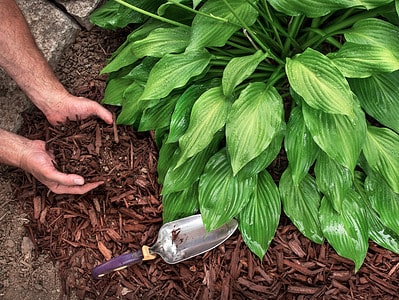 A How Long Does Mulch Last? See the Average Lifespan by Type
