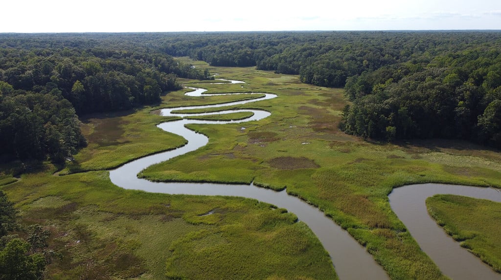 A winding river in York River State Park near Williamsburg, Virginia