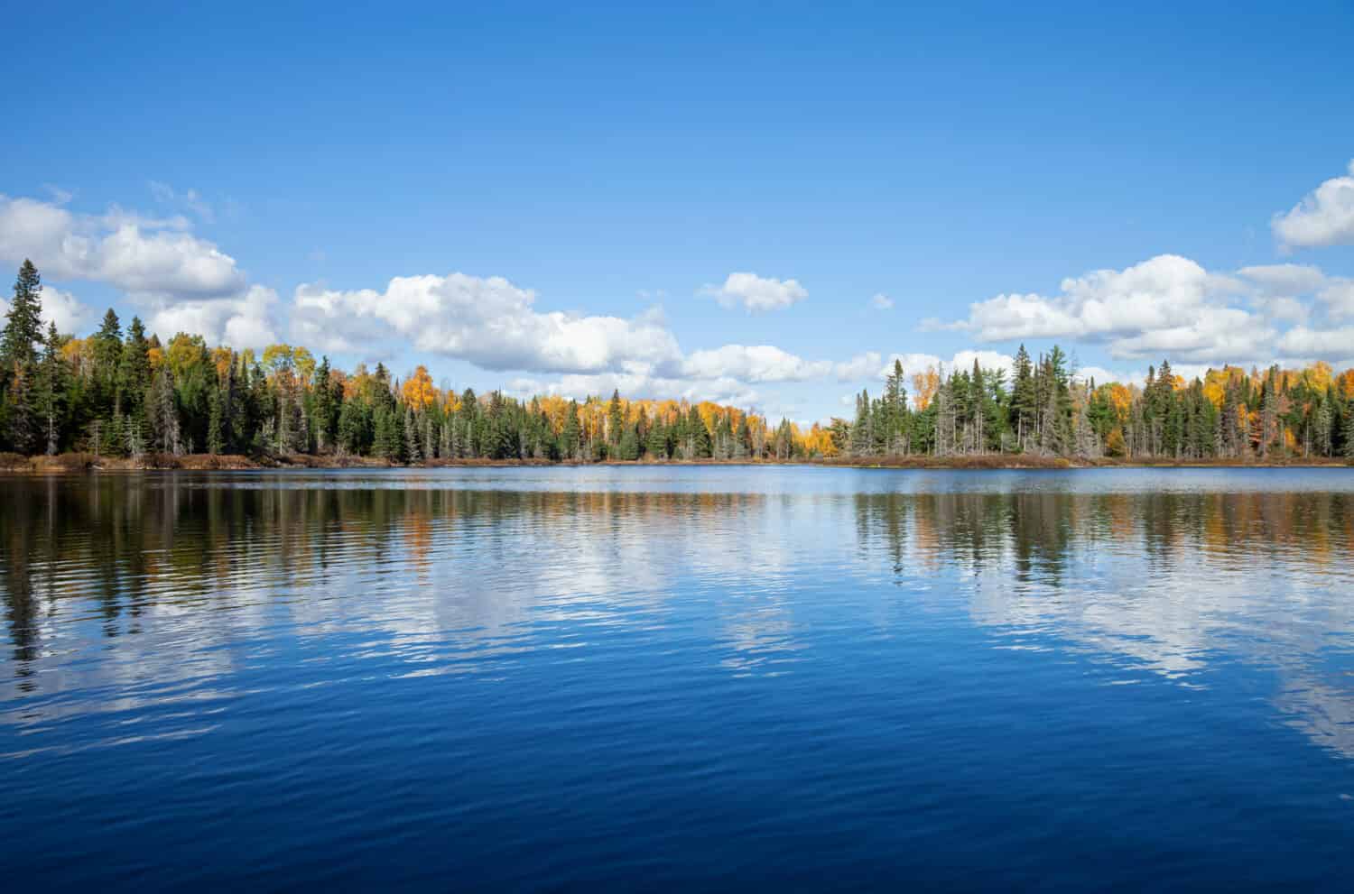 Blue lake with treeline in autumn color on a sunny afternoon in northern Minnesota