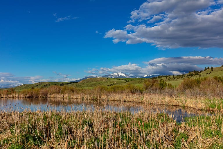 Flint Creek Mountains and wetlands near Deer Lodge, Montana, USA