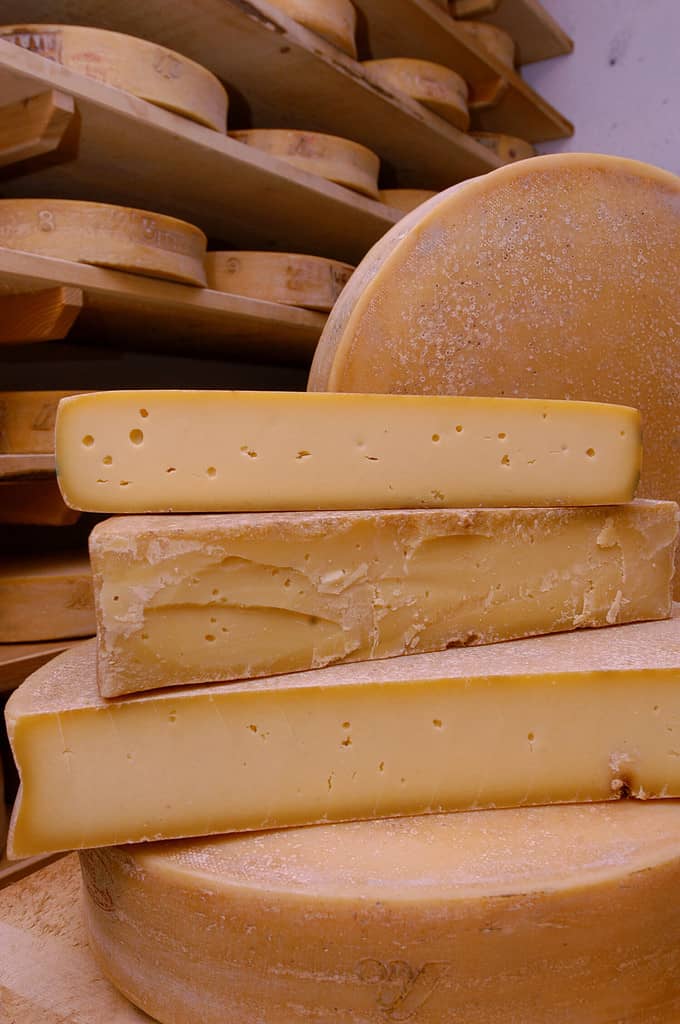 Extra Old Bitto Storico cheese sells for 150 dollars per pound.  