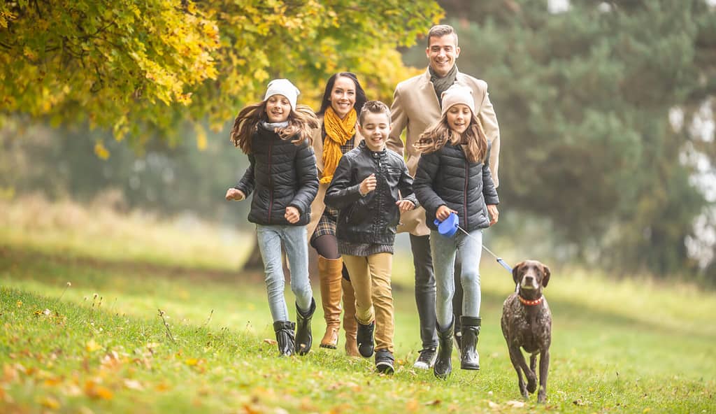 Children run with parents and a german shorthaired pointer dog outdoors on a fall day.