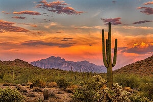 Arizona Is Home to 47 National Historic Landmarks… These 8 Are the Best Ones to Visit Picture