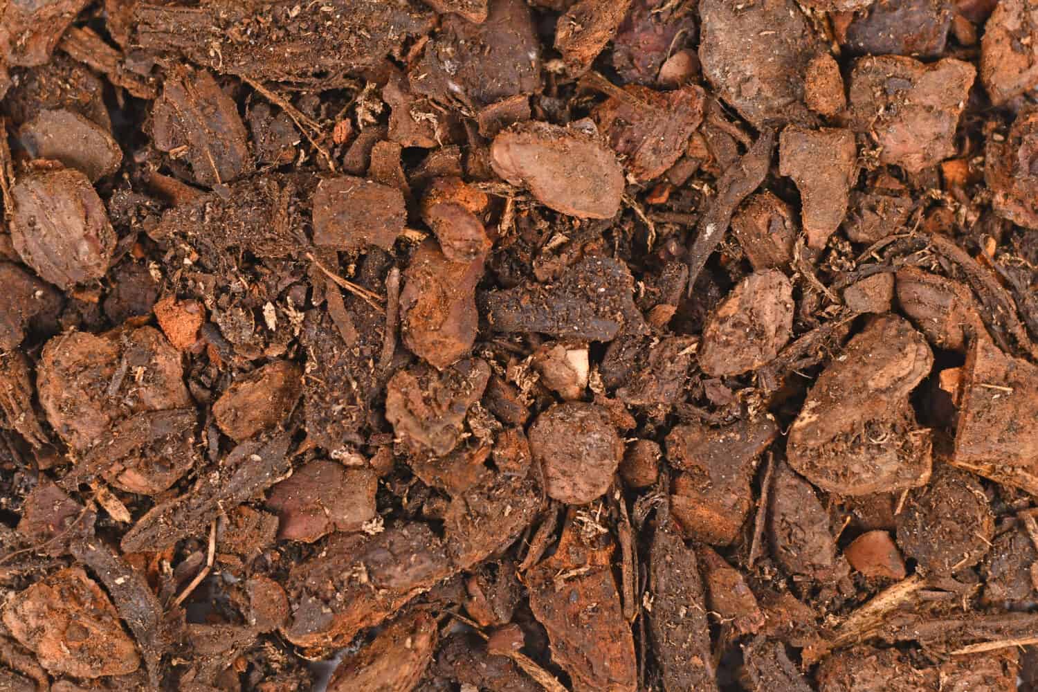 Top view of Orchid plant potting soil mix consisting of soil and chunky fir bark pieces