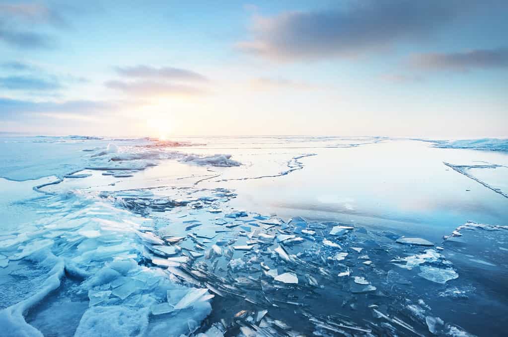 Panoramic view of the snow-covered shore of the frozen Baltic sea at sunset. Ice fragments close-up. Colorful cloudscape, soft sunlight. Symmetry reflections on the water. Christmas, seasons, winter