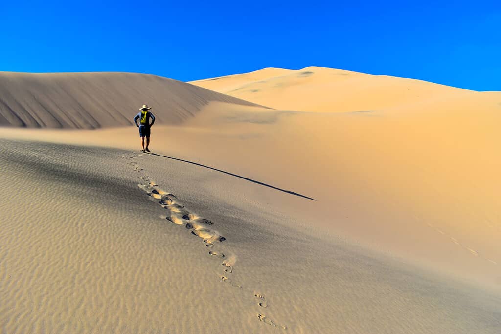 Man wearing straw hat, blue long sleeve shirt, shorts, and daypack walks up pristine sand mountain leaving footprints at Kelso Dunes California, sunny blue sky day