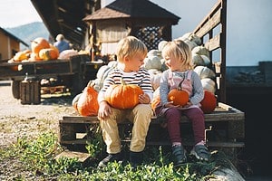 Explore the 8 Best Pumpkin Patches in Minnesota for a Great Fall Adventure Picture