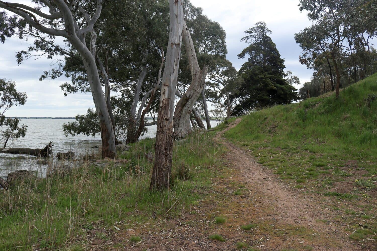 narrow walking trail at the Lake Burrumbeet camping reserve, Australia
