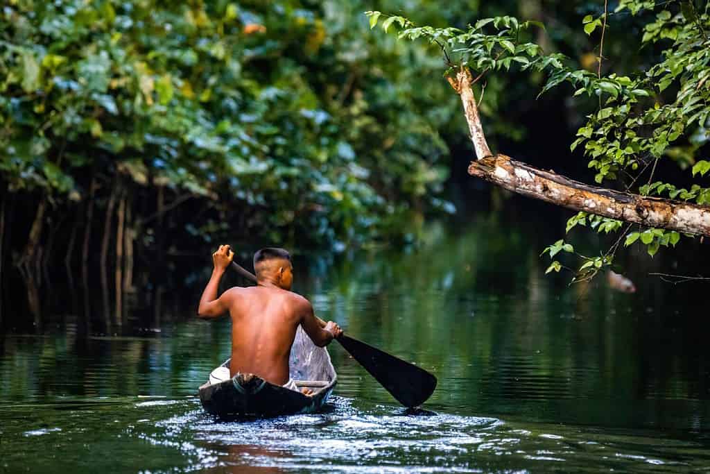 Native tribal man swimming in amazonia rainforest in handmade boat