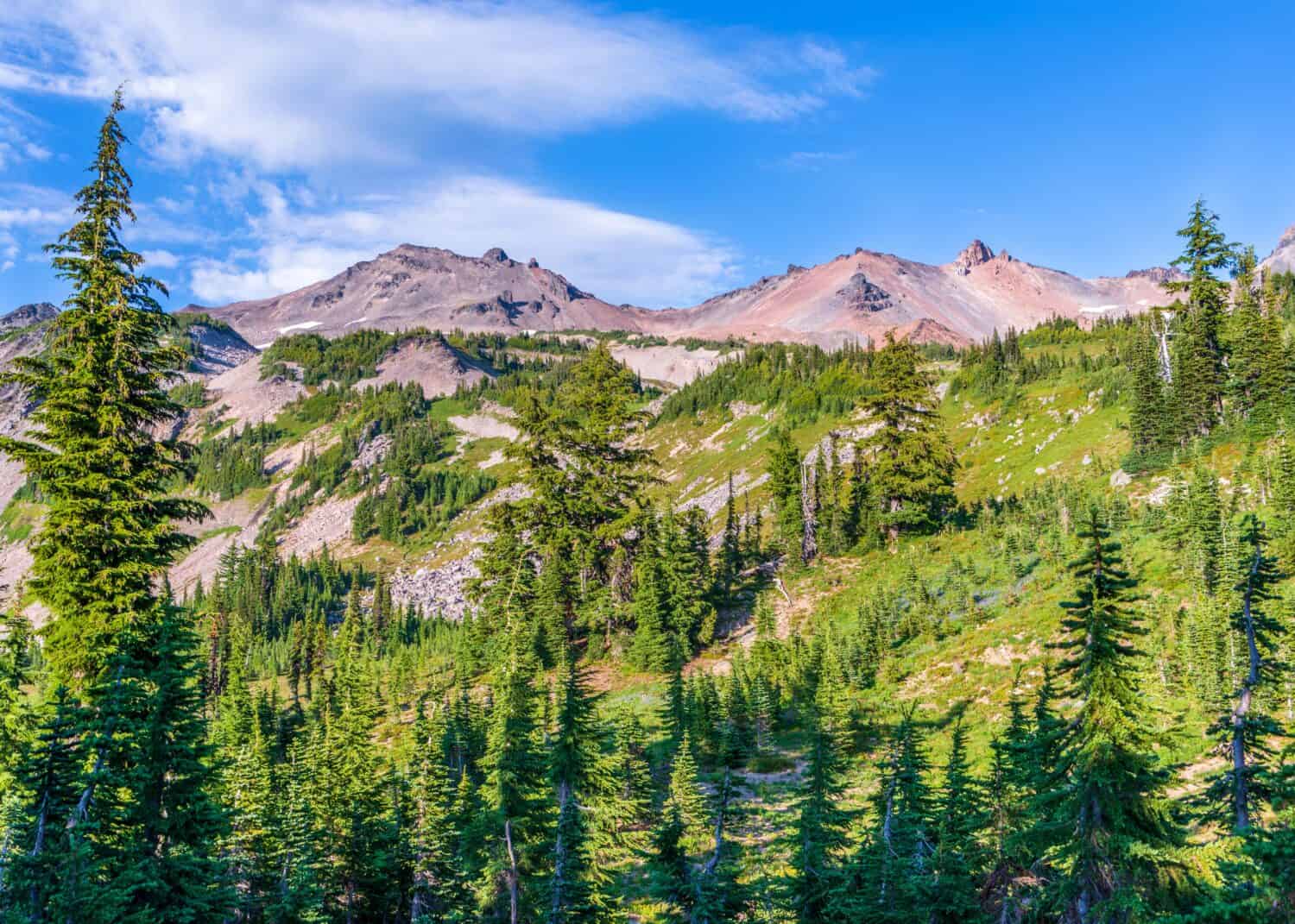 Old volcanic terrain rises above an alpline meadow at Goat Rocks Wilderness Area in Washington State.