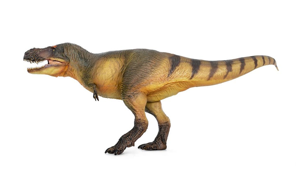 23 Dinosaurs That Start With Z - A-Z Animals