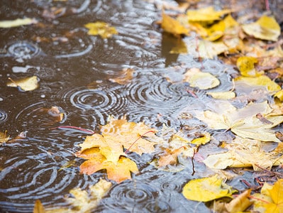 A These Are the 10 States That Get the Most Rain in October