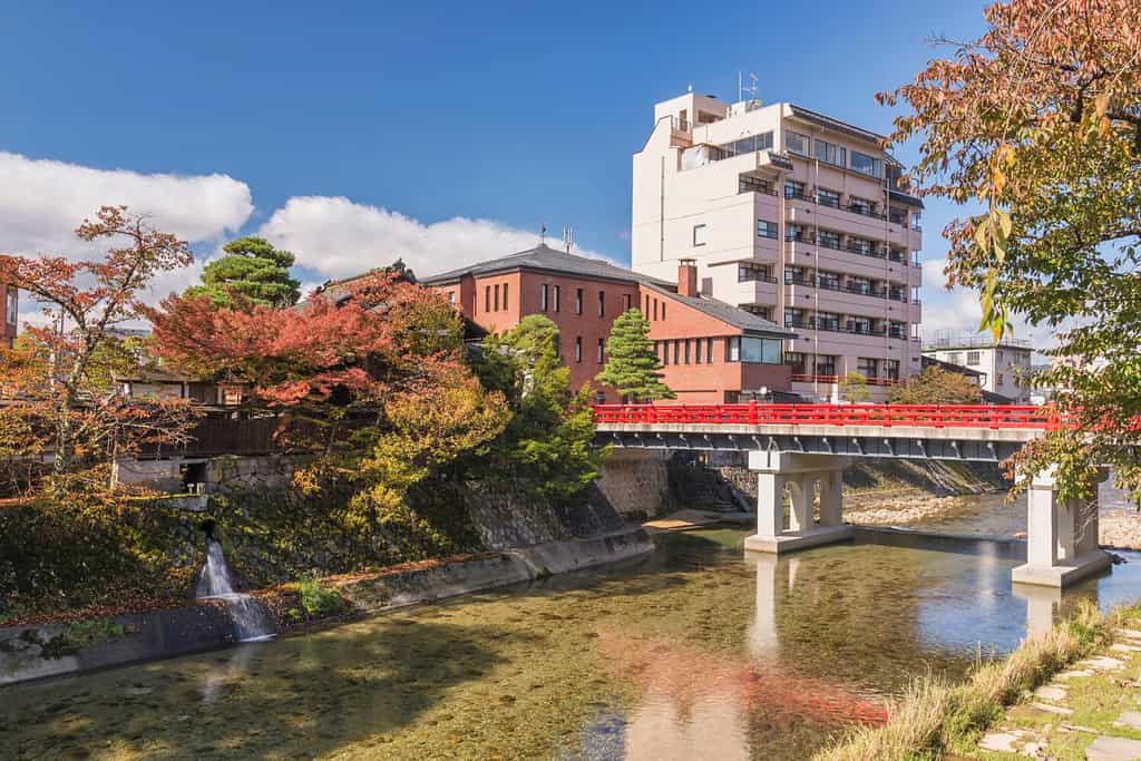 Takayama Japan, autumn landscape foliage at red Nakabashi bridge and Miyakawa river