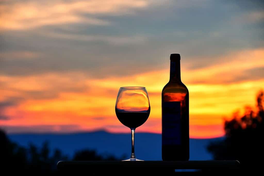 Silhouette of a glass of red wine and wine bottle at sunset with Virginia mountains in the background.