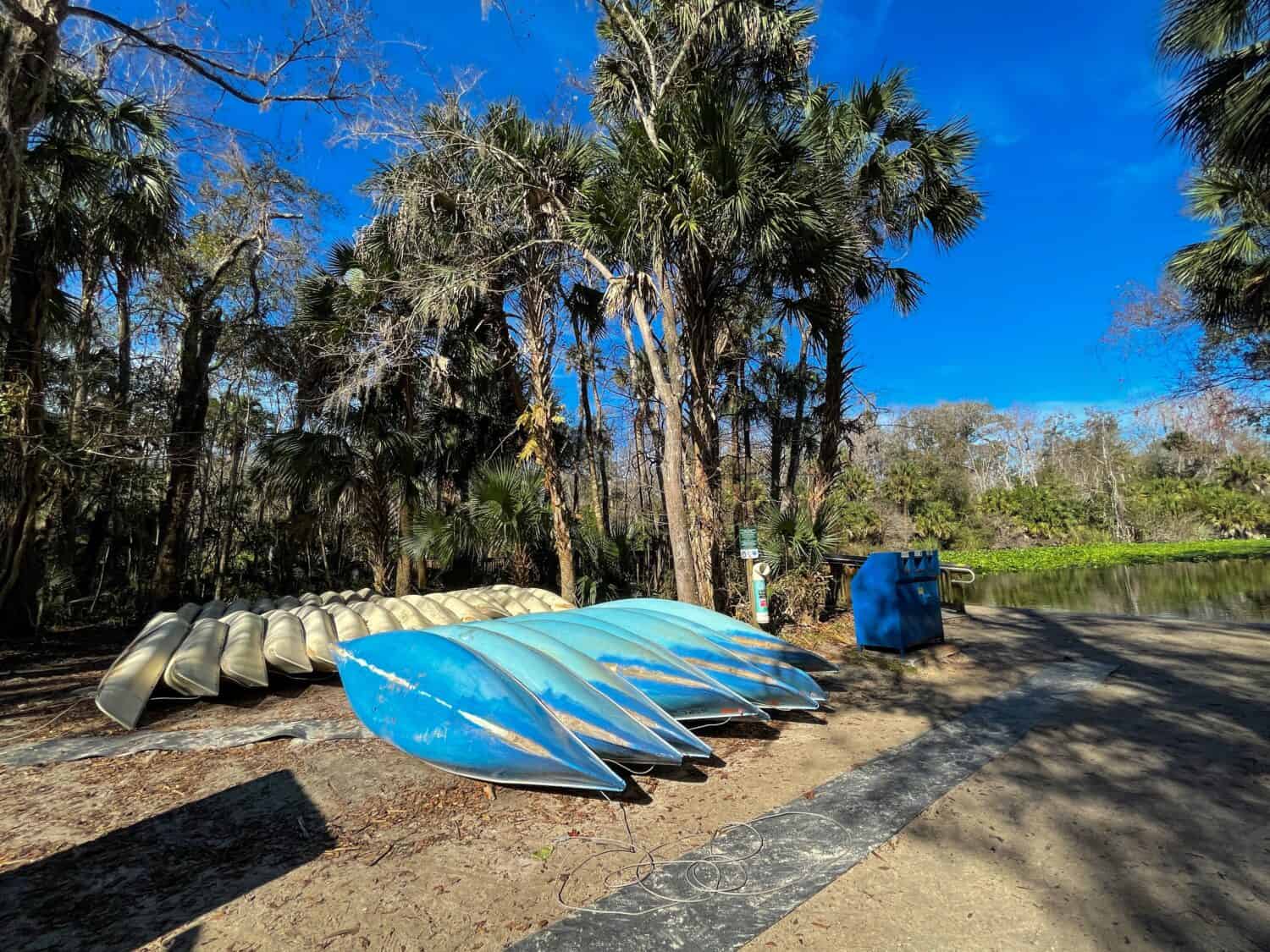 Canoes lined up for people to rent at a state park in Florida.