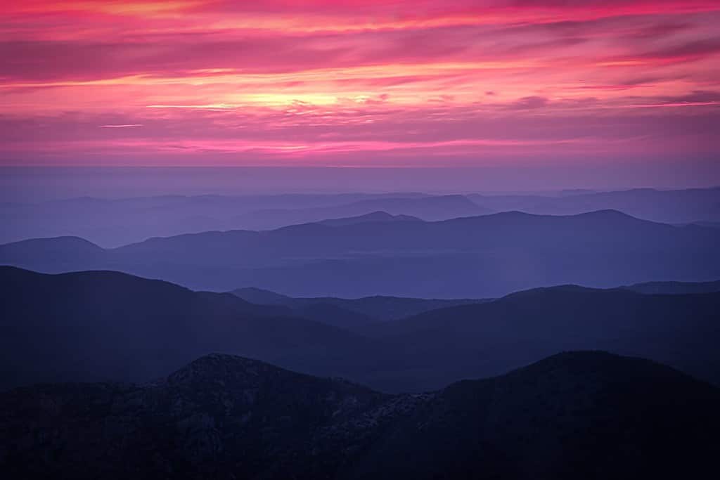 Discover the Highest Point in Baja California - A-Z Animals