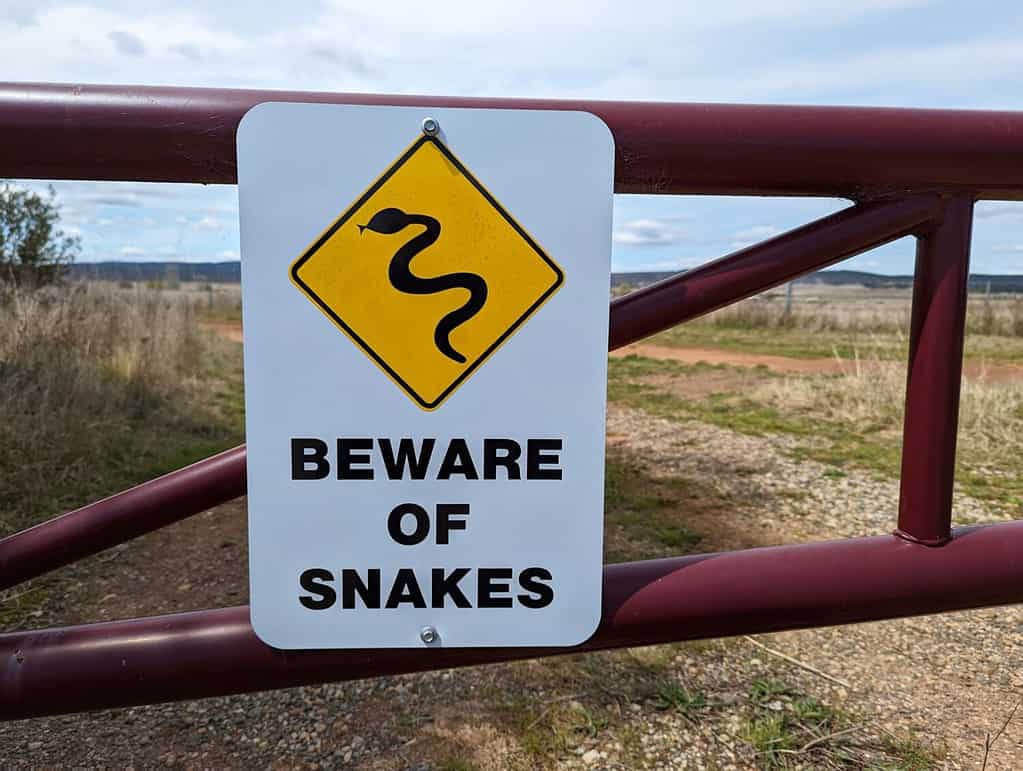 A beware of snakes sign on a rural gate in the countryside in the ACT, Australia.