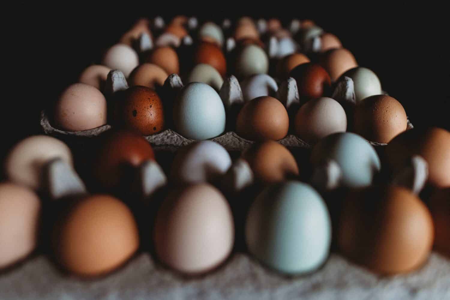 Colorful rows of fresh farm eggs