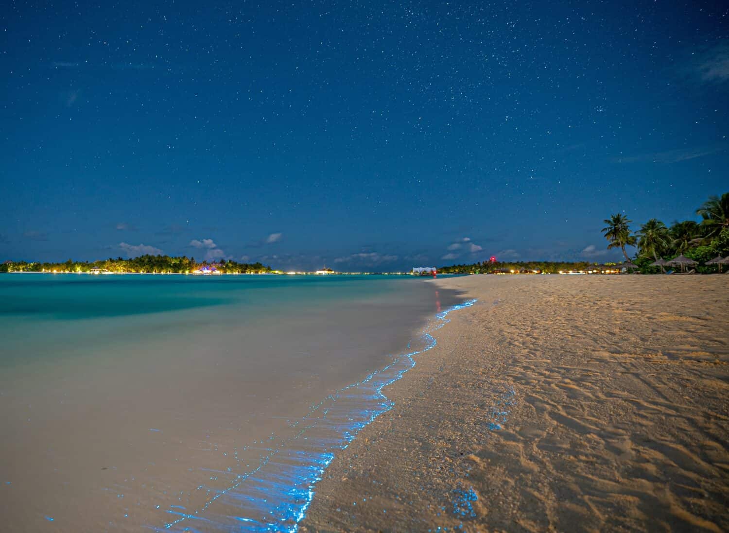Bio luminescence. Illumination of plankton at Maldives. Many bright particles at the beach. Glowing beach