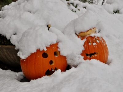 A Discover the Biggest October Snowstorm to Ever Hit Minnesota