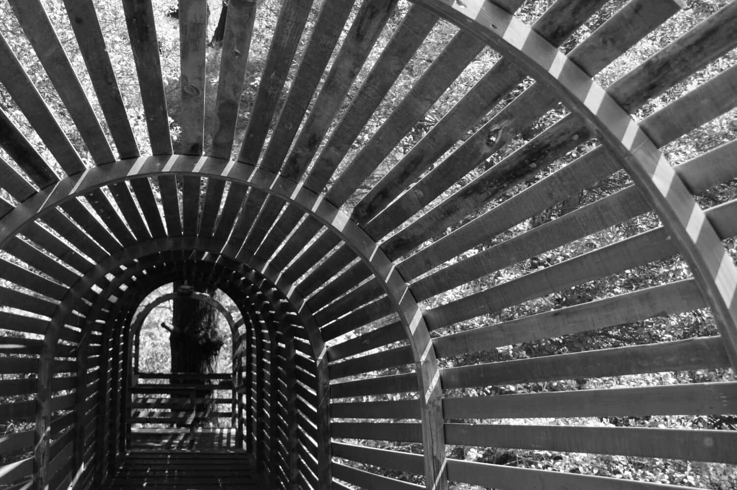 Black and white abstract wooden structure at Tyler Arboretum in Pennsylvania 