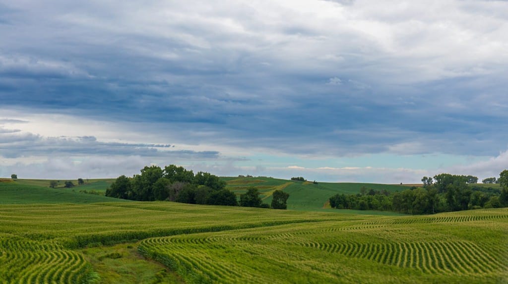 Iowa countryside under dark clouds. Rolling fields of green crops with a green clearing reaching through the fields.