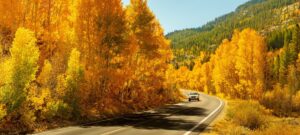 Discover When Leaves Change Color in California (Plus 5 Towns with Beautiful Foliage) Picture
