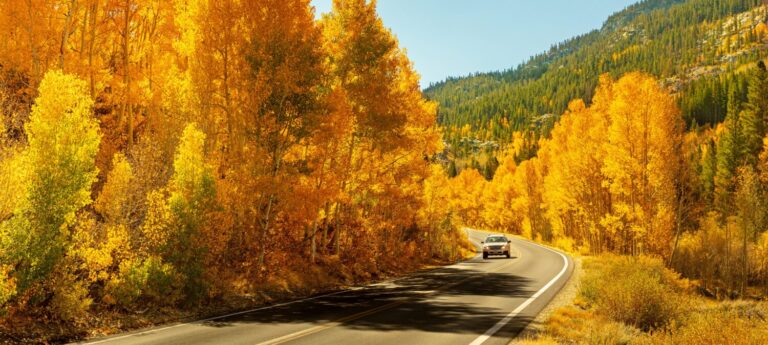 The Sierra Nevada Mountains in California transform into a captivating canvas of vibrant fall foliage, painting the landscape with a breathtaking display of nature's autumnal beauty.