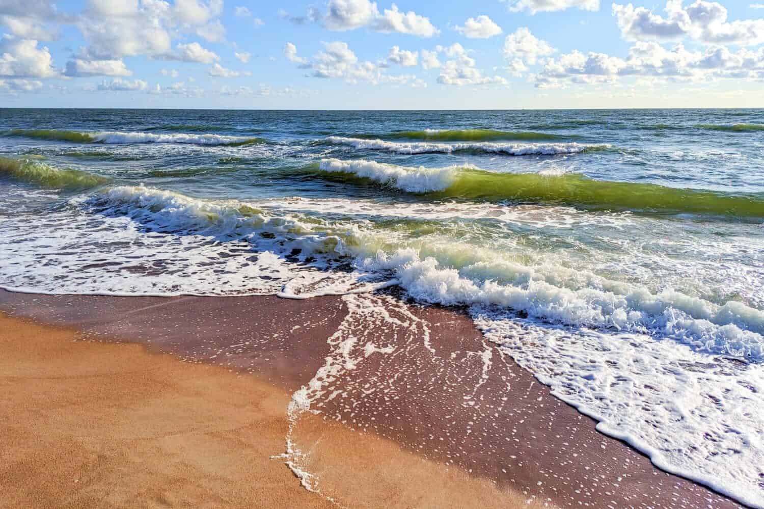 Baltic Sea. Coast. Waves. Beautiful view of the Baltic Sea in summer.
