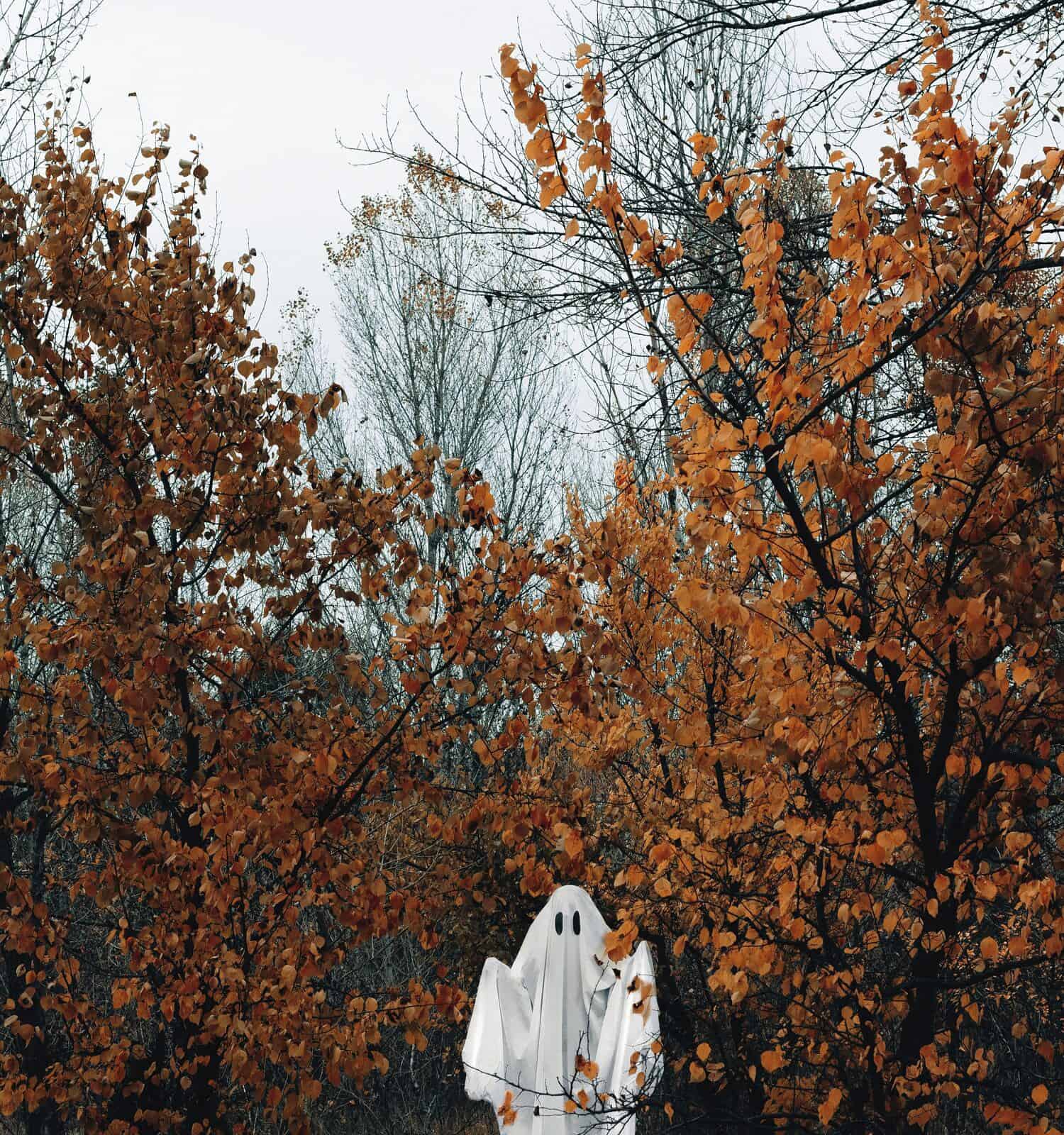 The ghost is covered with a white ghostly sheet in the autumn gloomy forest. A spooky white ghost peeks out from behind a tree