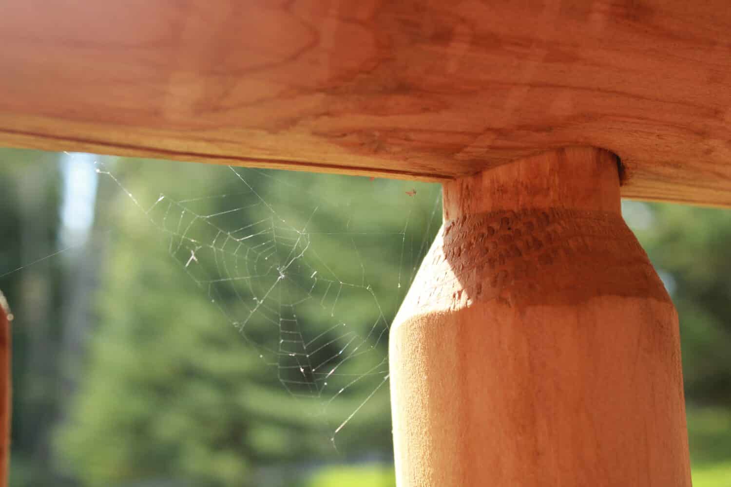 A tiny spider web on a railing