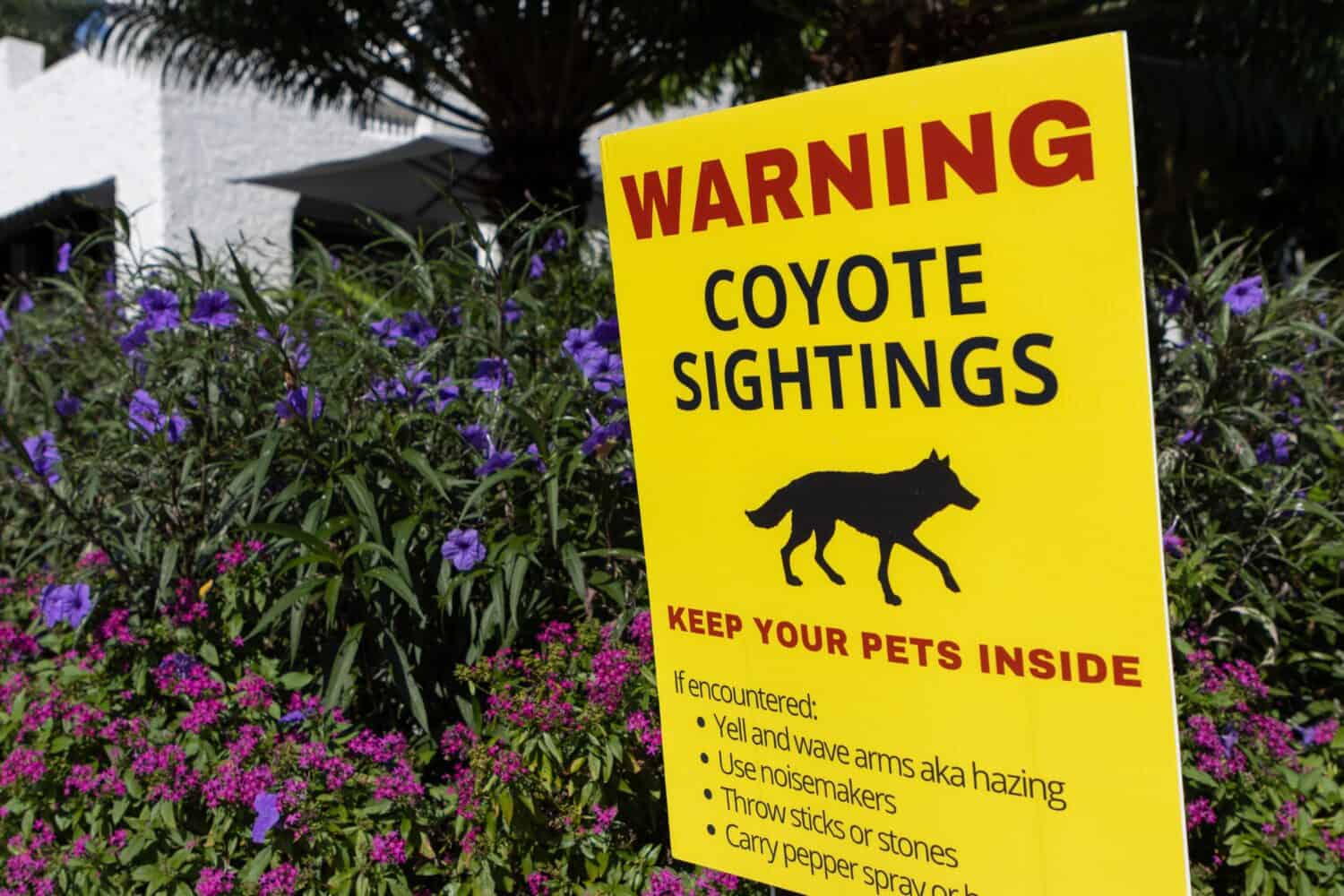 Sign warning about coyotes in a suburban neighborhood