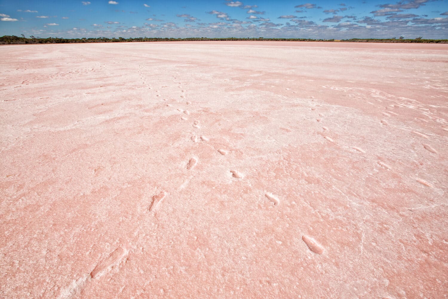 Pink salt lake, Murray-Sunset National Park, Victoria, Australia, as result of pink algae